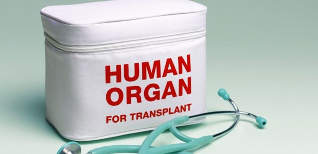 Επιτυχημένη μεταμόσχευση νεφρού για 60χρονο